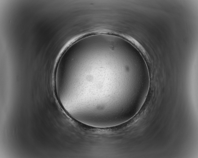 X0000086231191200704051149