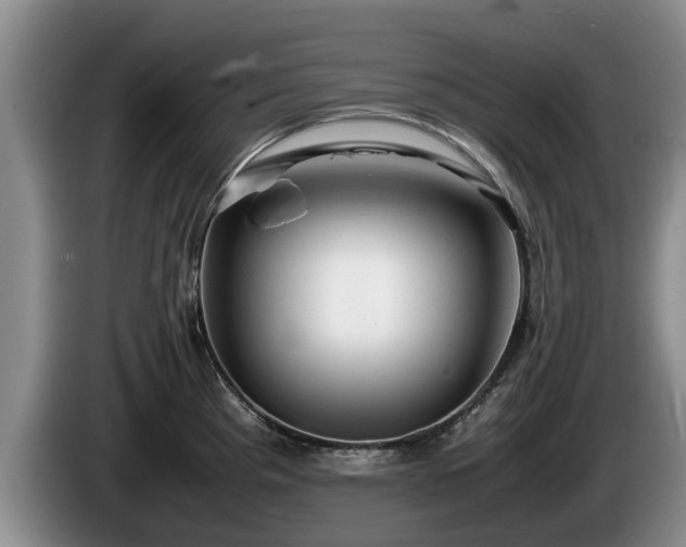 X0000086231193200704051149