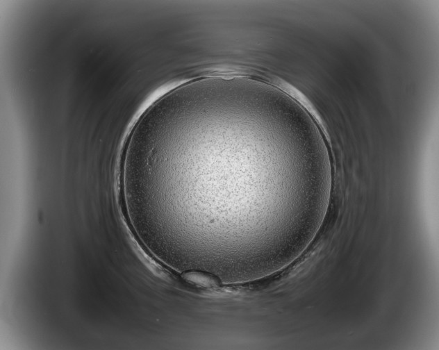 X0000086231195200704051149