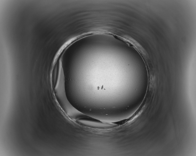 X0000086231196200704051149