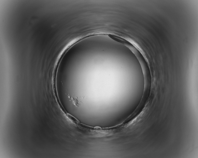 X0000086231197200704051149