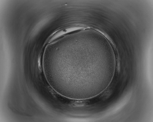 X0000086231198200704051149