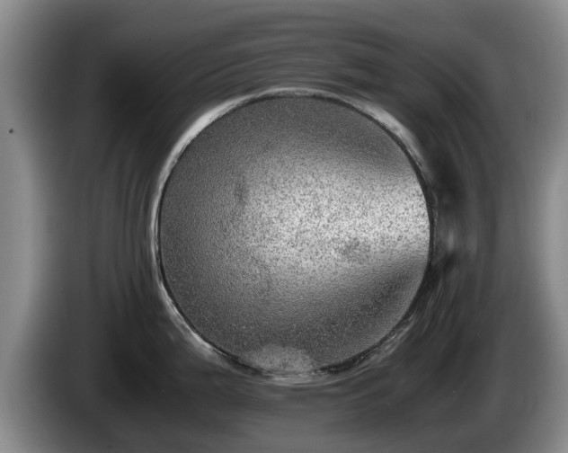 X0000086231199200704051149