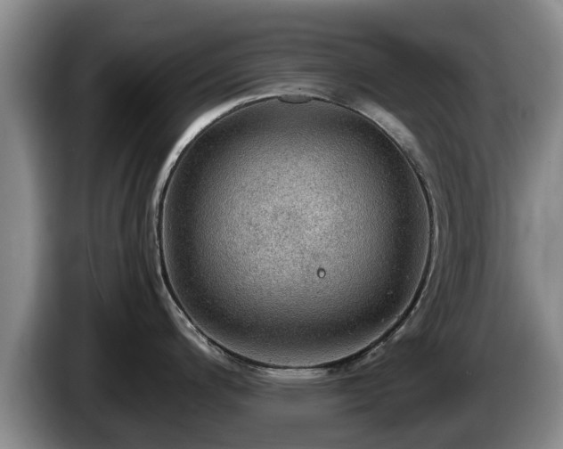 X0000086231200200704051149
