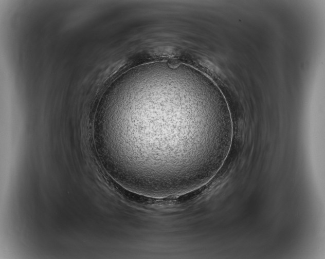 X0000086231201200704051149