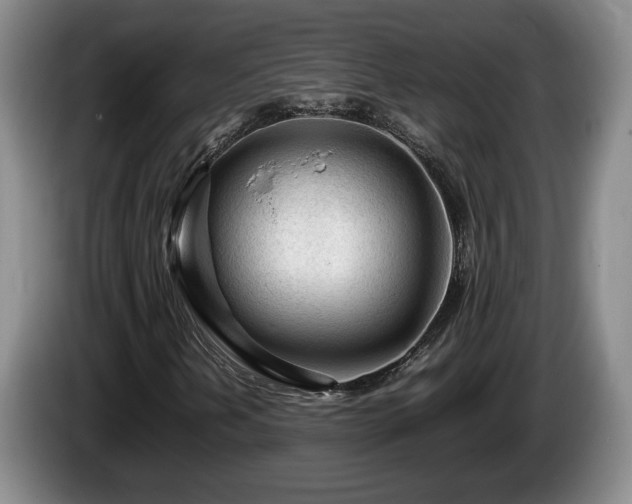 X0000086231202200704051149