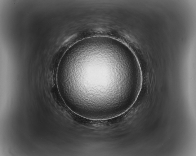 X0000086231205200704051149