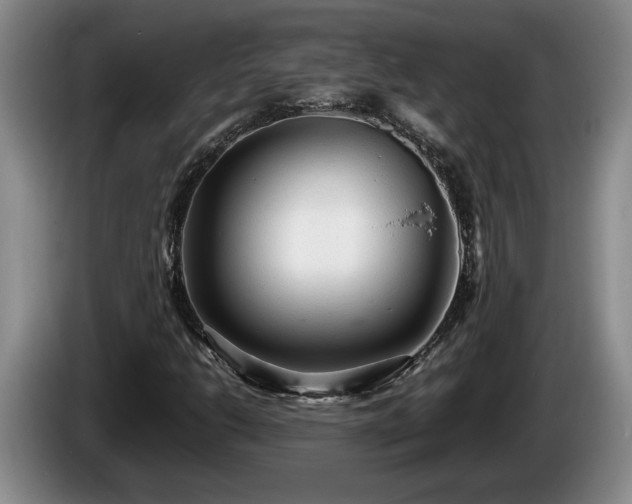 X0000086231206200704051149