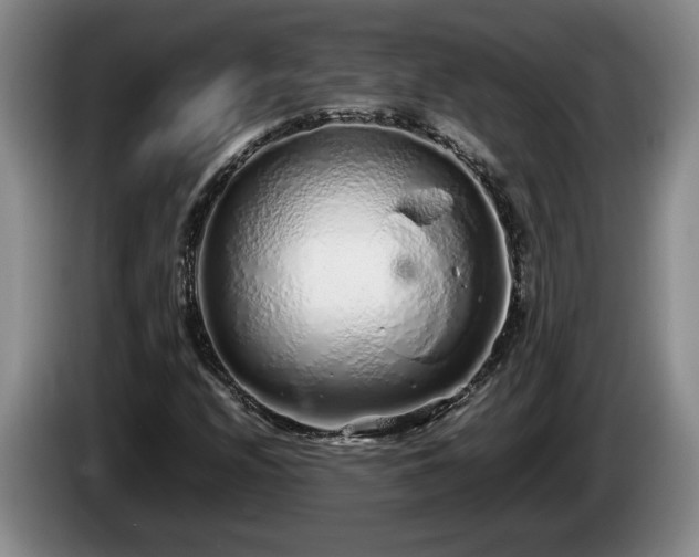 X0000086231208200704051149