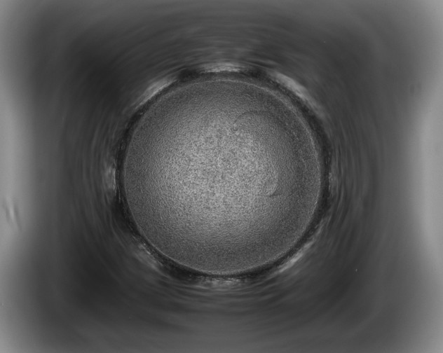 X0000086231209200704051149