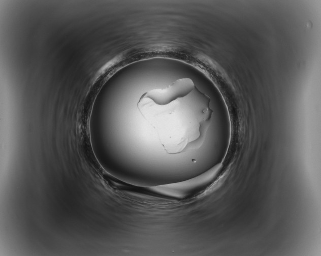 X0000086231210200704051149