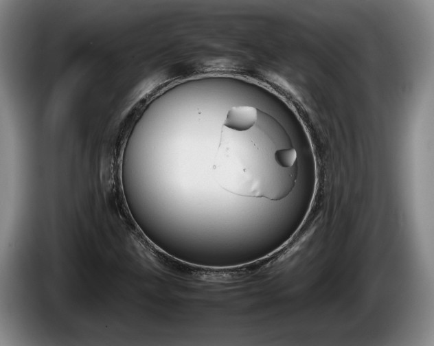 X0000086231211200704051149