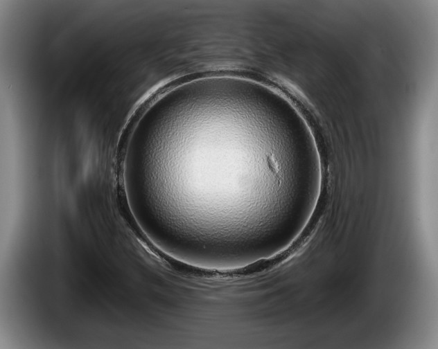 X0000086231212200704051149