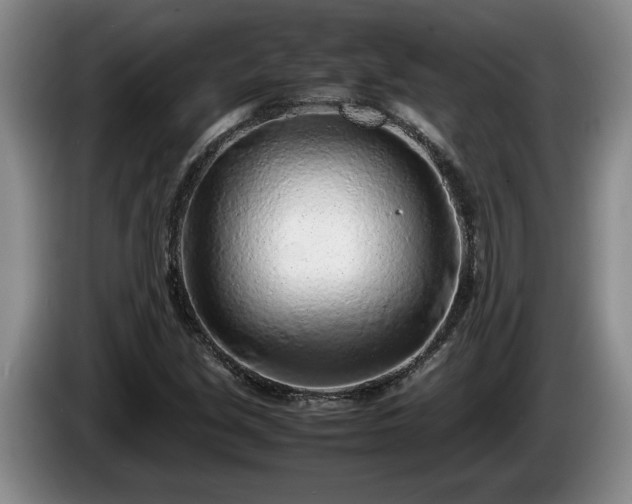 X0000086231213200704051149