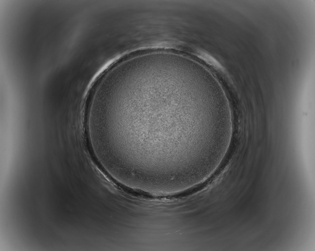 X0000086231216200704051149