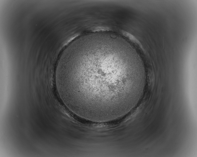 X0000086231217200704051149