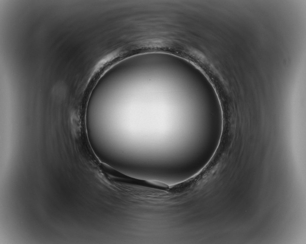 X0000086231218200704051149