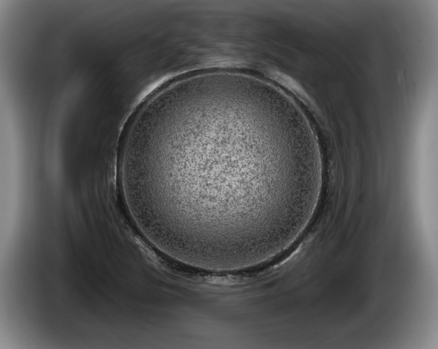 X0000086231220200704051149
