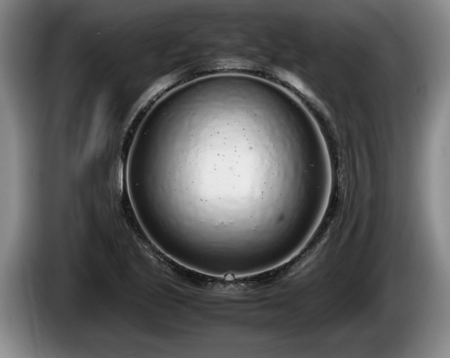 X0000086231221200704051149