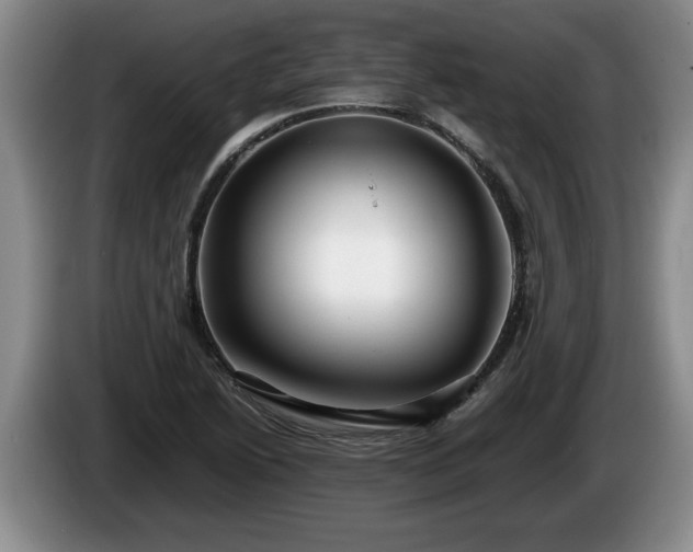 X0000086231222200704051149