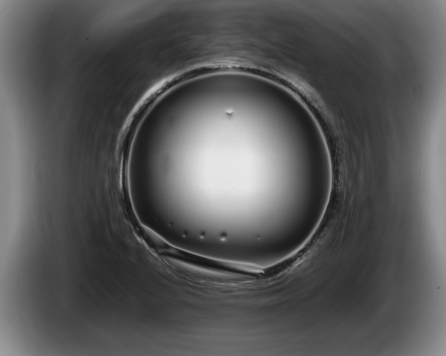 X0000086231224200704051149