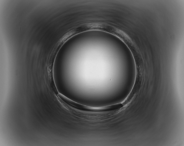 X0000086231225200704051149