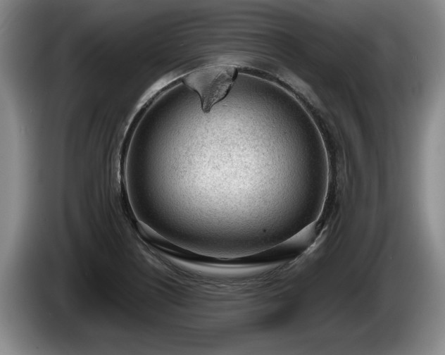 X0000086231226200704051149