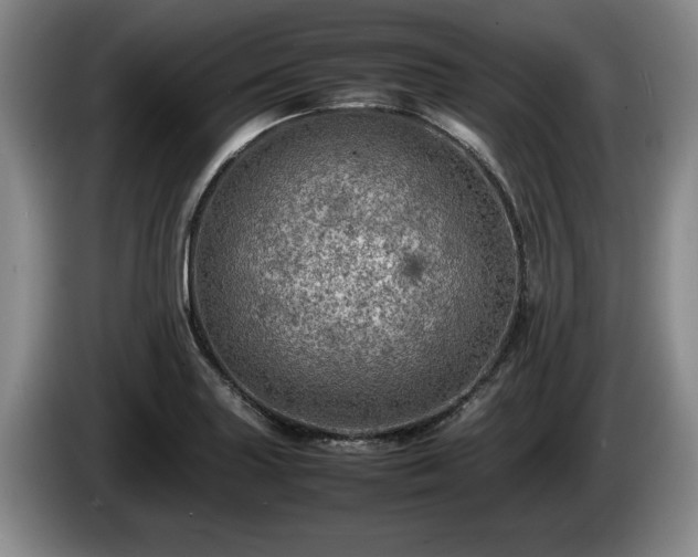 X0000086231227200704051149