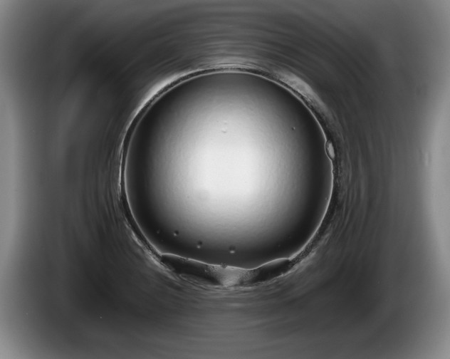 X0000086231228200704051149