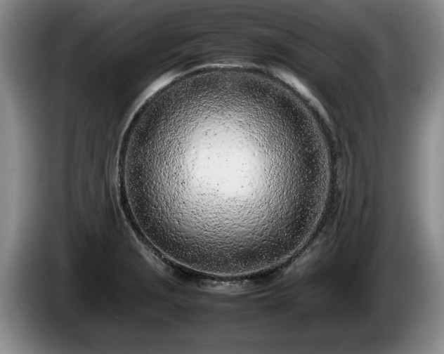 X0000086231229200704051149