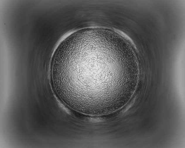 X0000086231231200704051149
