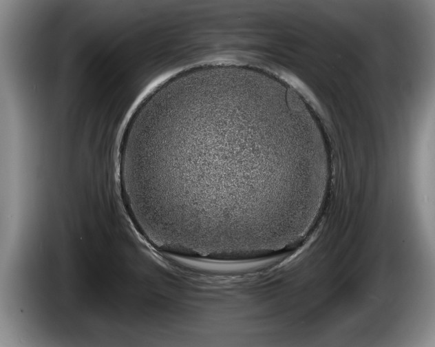 X0000086231232200704051149