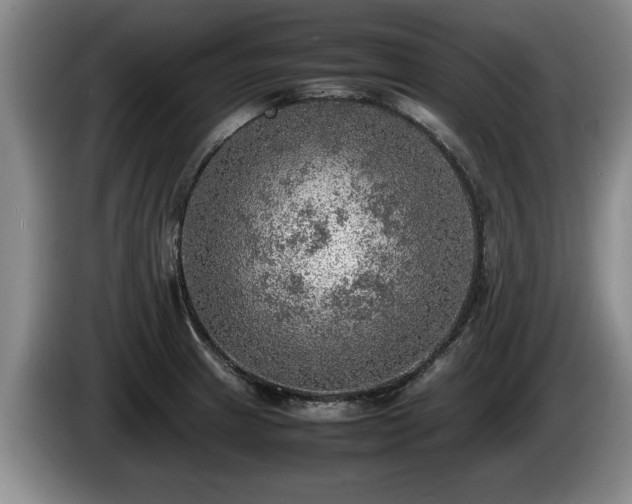 X0000086231233200704051149