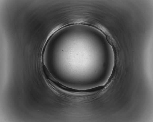 X0000086231234200704051149