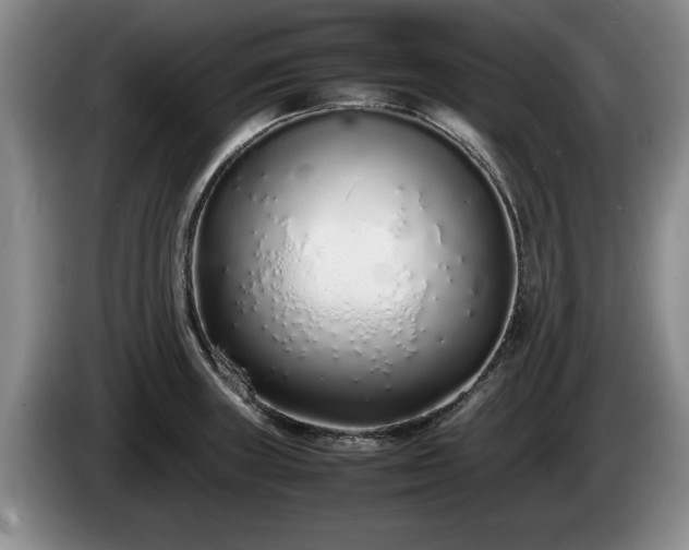 X0000086231235200704051149