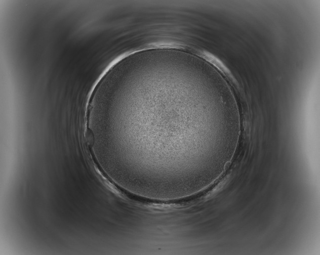 X0000086231236200704051149