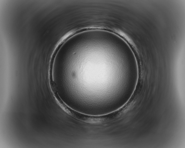 X0000086231237200704051149