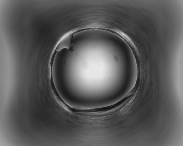 X0000086231238200704051149