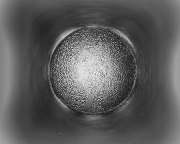 X0000086231239200704051149