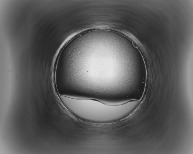 X0000086231240200704051149