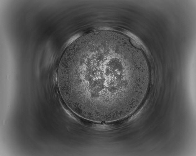 X0000086231241200704051149
