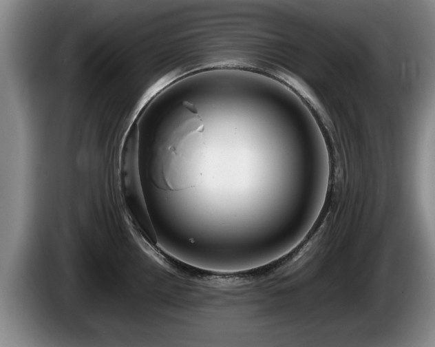 X0000086231242200704051149