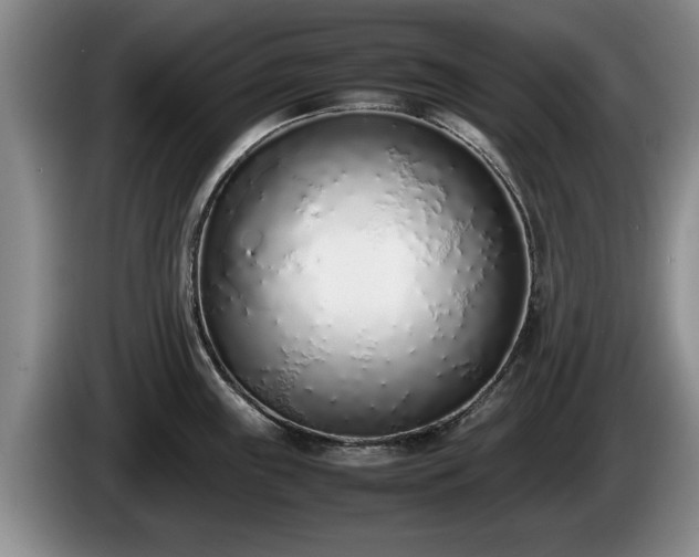 X0000086231243200704051149