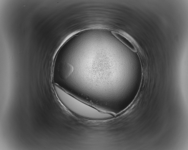 X0000086231244200704051149