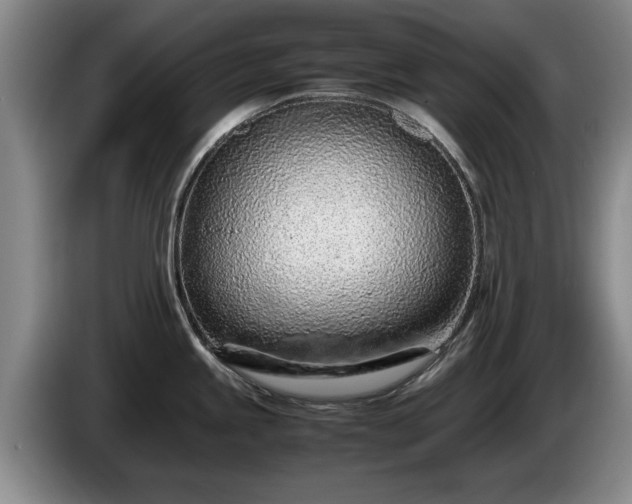 X0000086231245200704051149