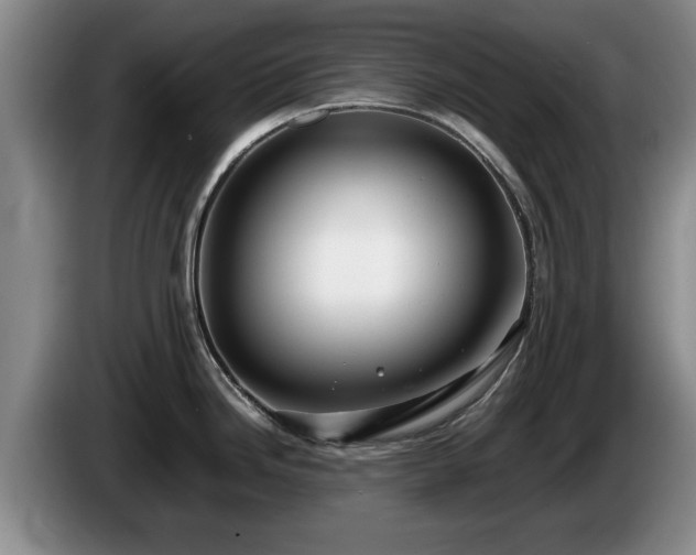 X0000086231246200704051149