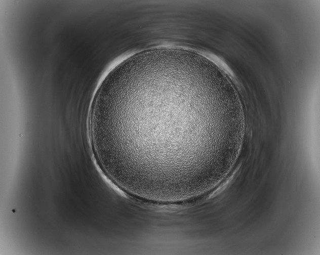 X0000086231247200704051149