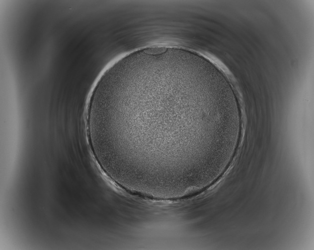 X0000086231248200704051149