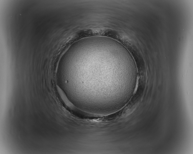 X0000086231249200704051149
