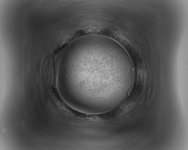 X0000086231250200704051149